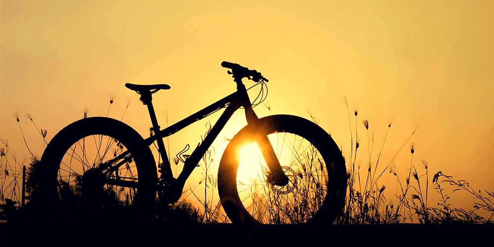 Fat Tyre Bicycle