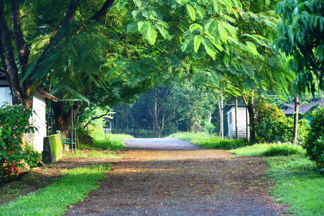 Darjeeling to Siliguri